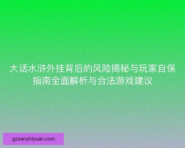 大话水浒外挂背后的风险揭秘与玩家自保指南全面解析与合法游戏建议